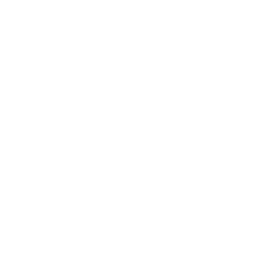 Pricing